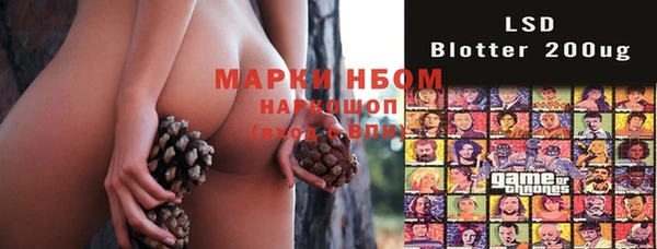 молекула духа Киреевск