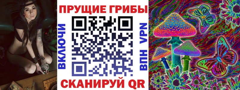 Галлюциногенные грибы Cubensis  Купить где  Малоярославец 