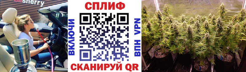 Шишки марихуана план  Купить где  Малоярославец 
